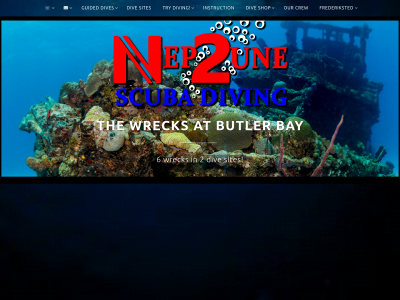 neptunestx.com snapshot