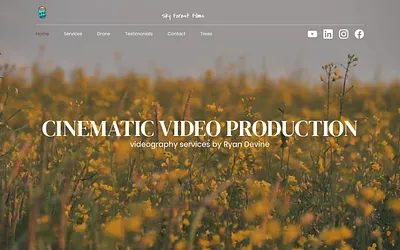skyforestfilms.com snapshot