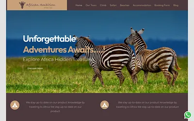 africanambitiontz.com snapshot