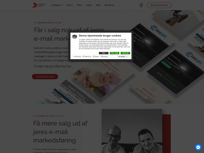 dynamicleads.dk snapshot