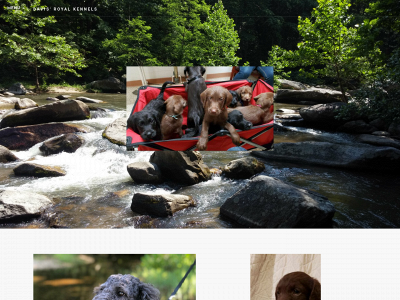 davisroyalkennel.com snapshot