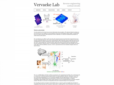 vervaeke-lab.org snapshot