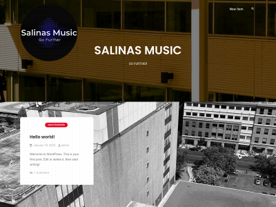 sergiosalinasmusic.com snapshot