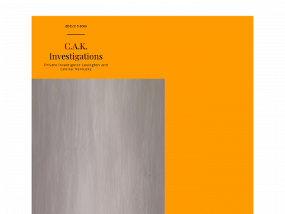 cakinvestigations.com snapshot