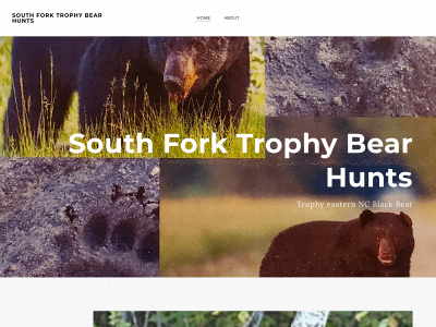 www.trophyblackbearhunts.com snapshot
