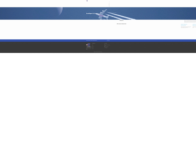 excelligentllc.com snapshot