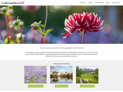cultivatedandwild.com snapshot