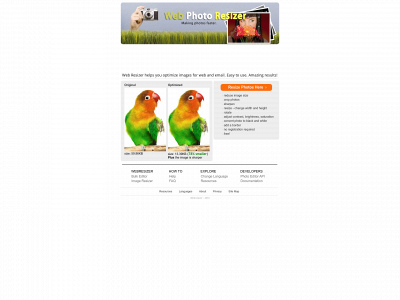 webresizer.com snapshot