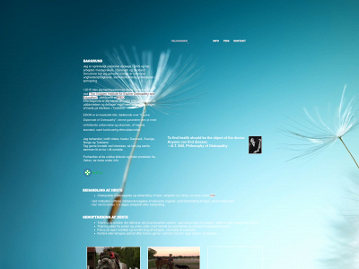 jeanetteadler.com snapshot