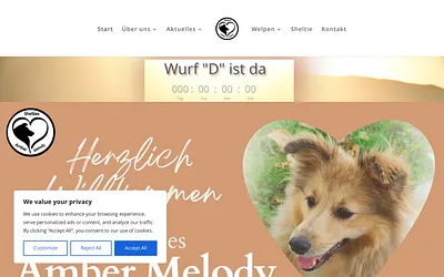 sheltie-amber-melody.de snapshot