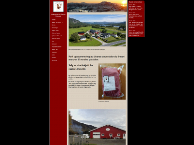 slettenlimousin.com snapshot