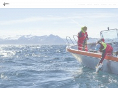 catchfiskeresor.se snapshot