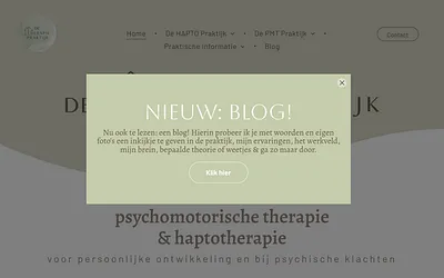 de-therapiepraktijk.nl snapshot