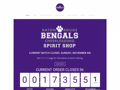 brbengals.weebly.com snapshot