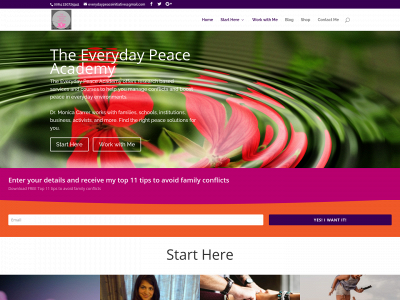 everydaypeaceacademy.com snapshot