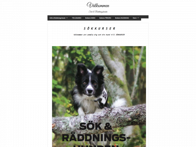 sok-och-raddningshunden.se snapshot