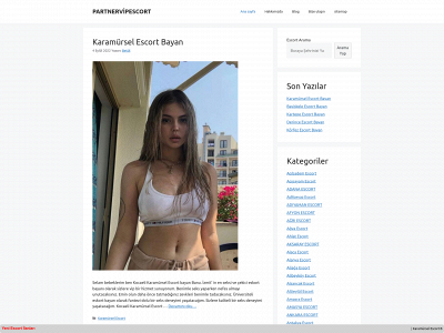 partnervipescort.com snapshot