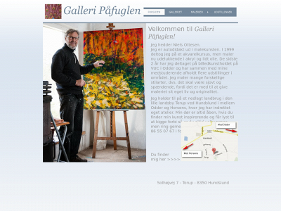 galleripaafuglen.dk snapshot