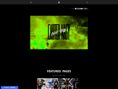 nagyportfolio.weebly.com snapshot