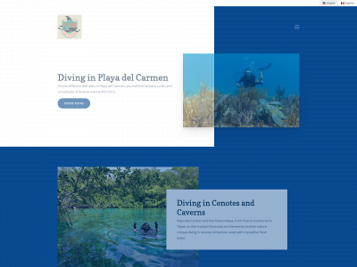 feelthediving.com snapshot