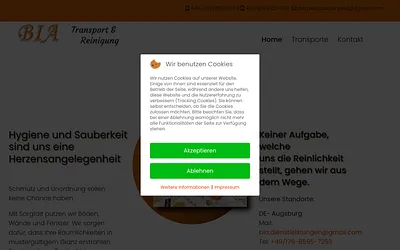 bia-transport-reinigung.de snapshot