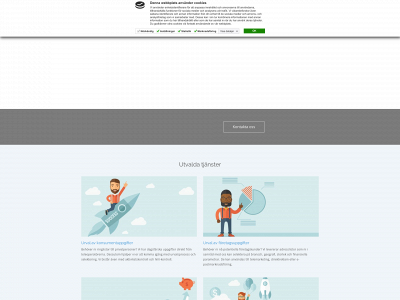 raymondmedia.se snapshot