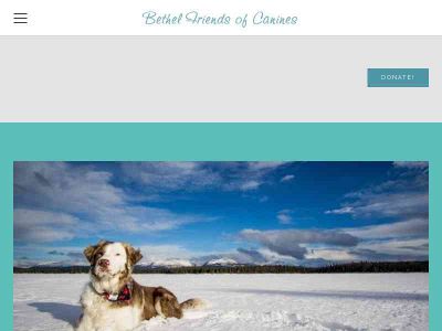 www.bethelfriendsofcanines.com snapshot