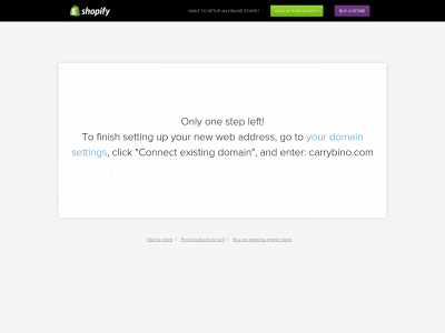 carrybino.com snapshot
