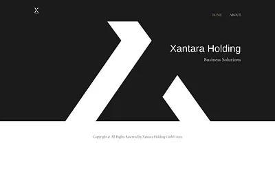 xantara.company snapshot