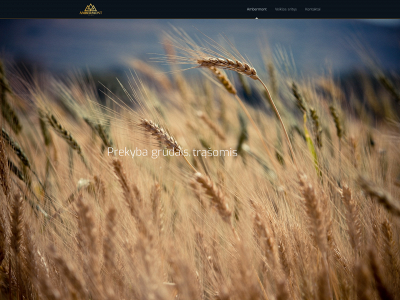ambermont.lt snapshot