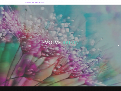 evolvesalonyulee.com snapshot