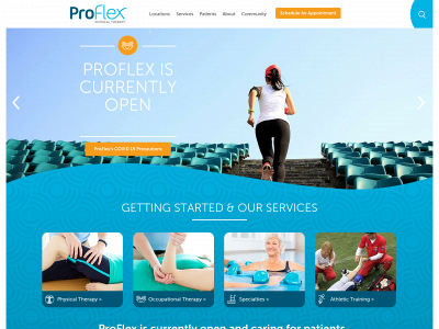 proflexpt.com snapshot