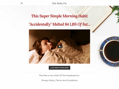 flatbellyfix22.weebly.com snapshot