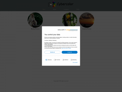 cybercolor.dk snapshot
