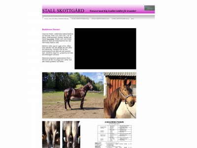 stallpuzrock.se snapshot