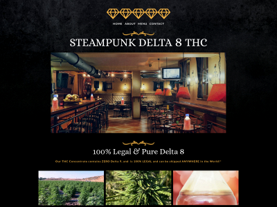 steampunkdelta8.com snapshot