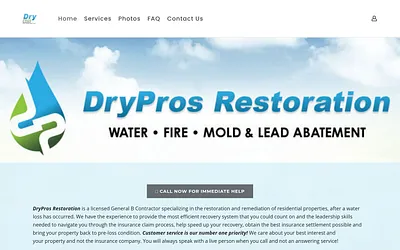 www.drypros247.com snapshot