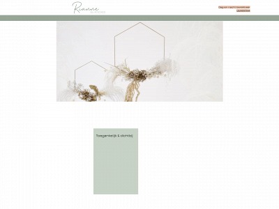 riannebijafscheid.nl snapshot
