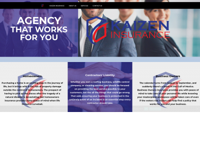kaizenins.com snapshot