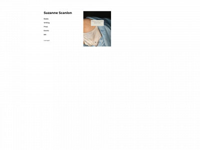 suzannescanlon.com snapshot