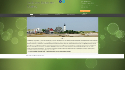 southshoreendo.com snapshot