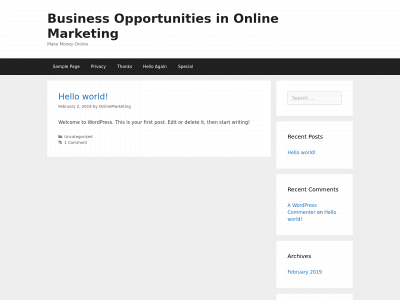 thebizopps.com snapshot