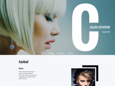 saloncatherine.be snapshot