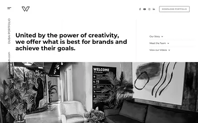 white-adv.com snapshot