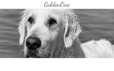 goldenone.nu snapshot