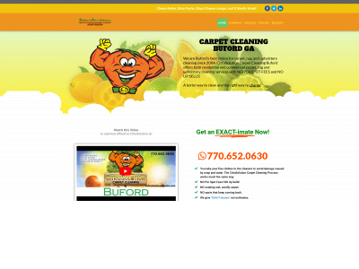 citrusolutionatlanta.com snapshot