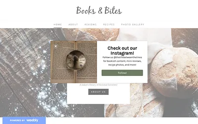 booksandbites2.weebly.com snapshot