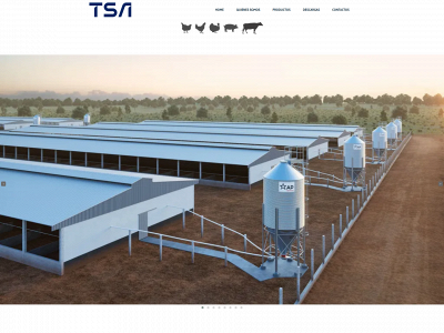 tsachile.com snapshot