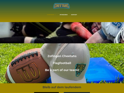 zcheetahs.ch snapshot