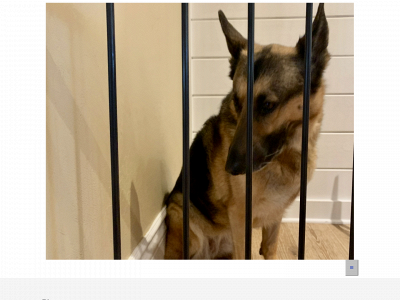 prisonforreal.com snapshot